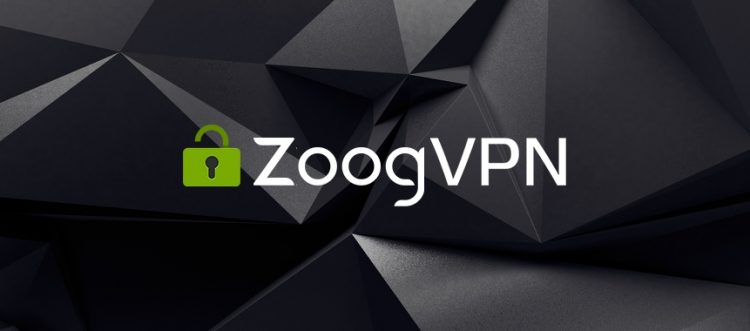 zoogvpn review